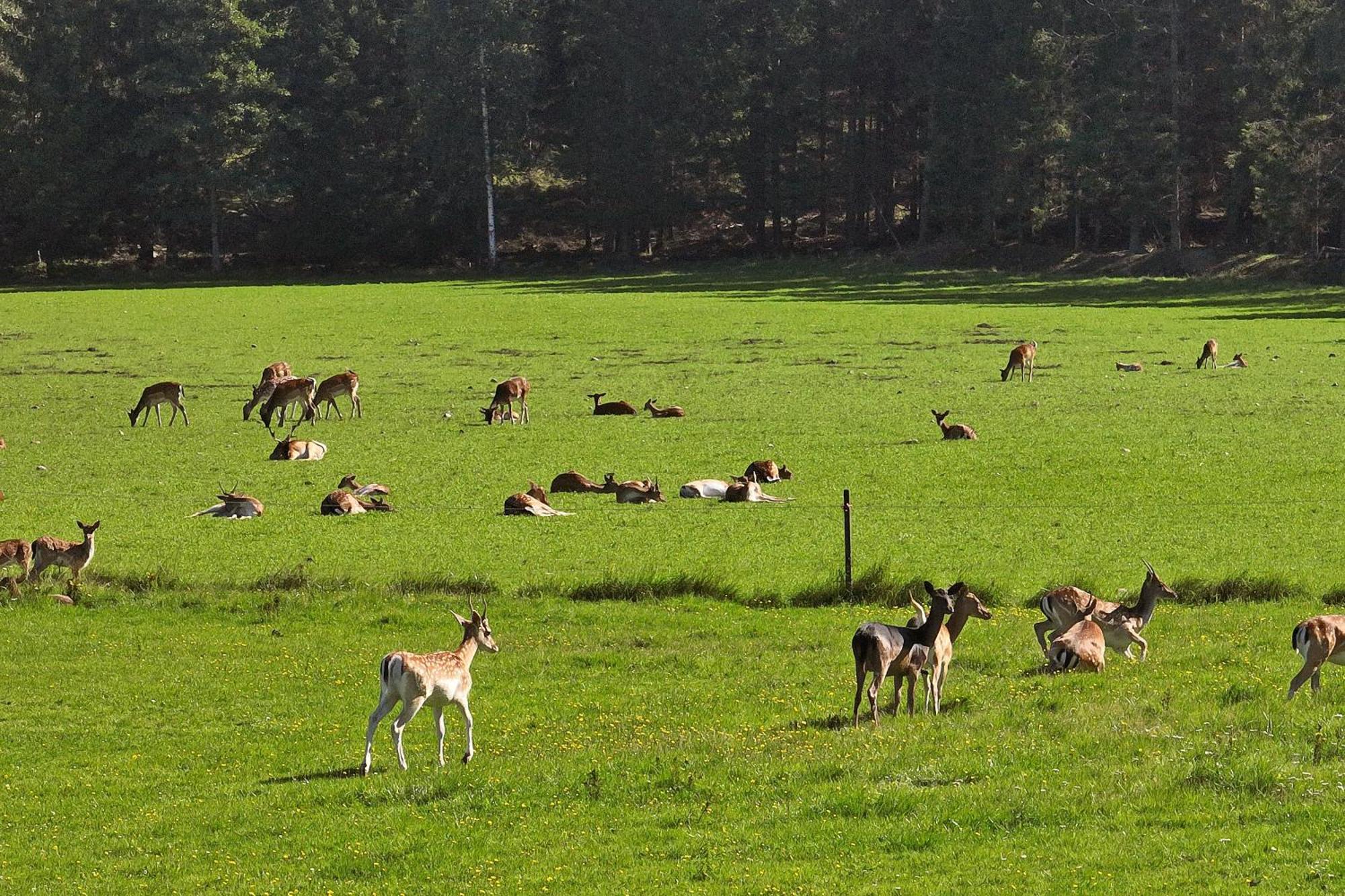Siggesta Gard Hotel Värmdö Kültér fotó